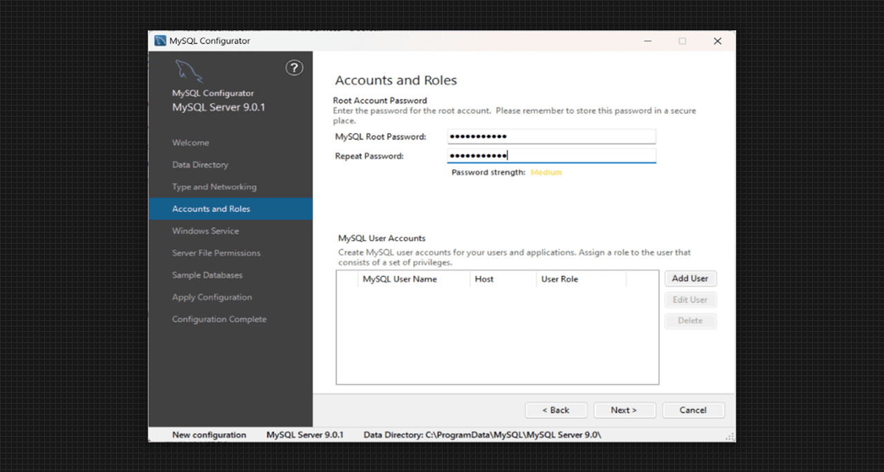 Accounts and Roles of MySQL Server 9.0 Setup